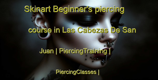 Skinart Beginner's piercing course in Las Cabezas De San Juan | PiercingTraining | PiercingClasses | SkinartTraining-Spain